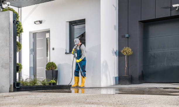 Best Animal Enclosure Cleaning  in Fillmore, UT